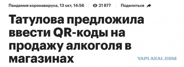Бизнес-омбудсмен Татулова предложила ввести QR-коды на продажу алкоголя в магазинах