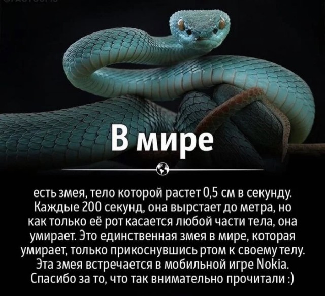 Бредзона 31.10.21