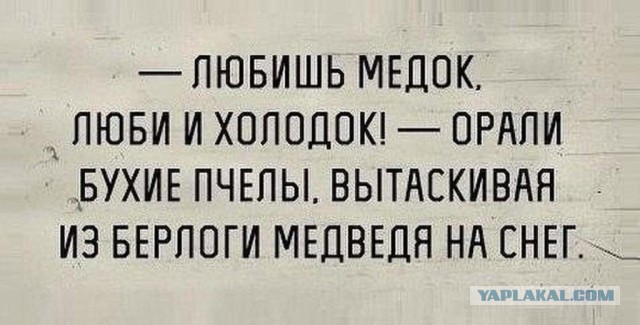 Казахстанский боец MMA Куат Хамитов поддерживавший недавние протесты в стране, был задержан группой ОМОНA.