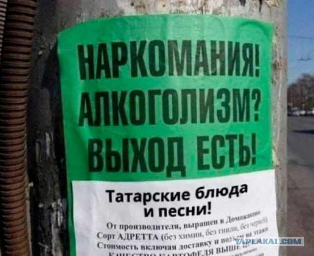 Так себе картинки 12.02.22