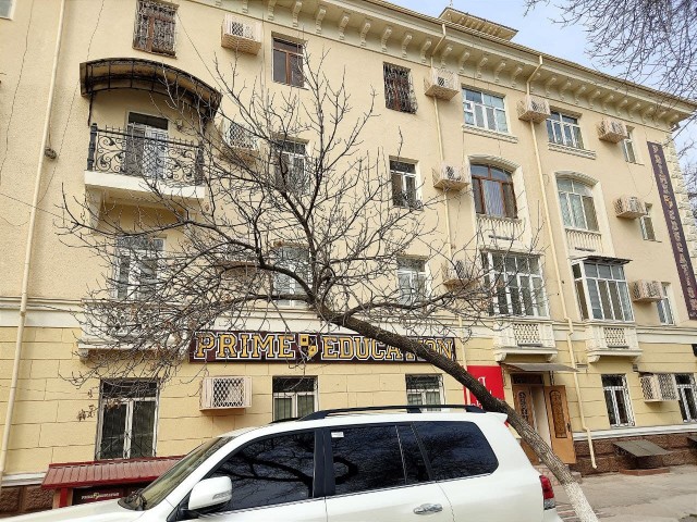 Выпускайте пчёл!