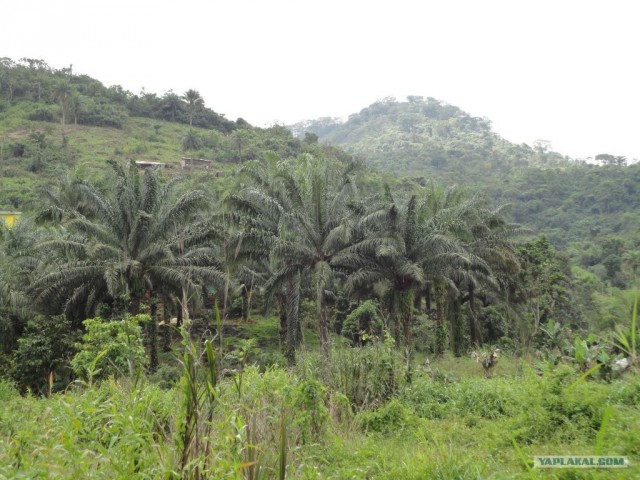 Путешествие в Сьерра-Леоне