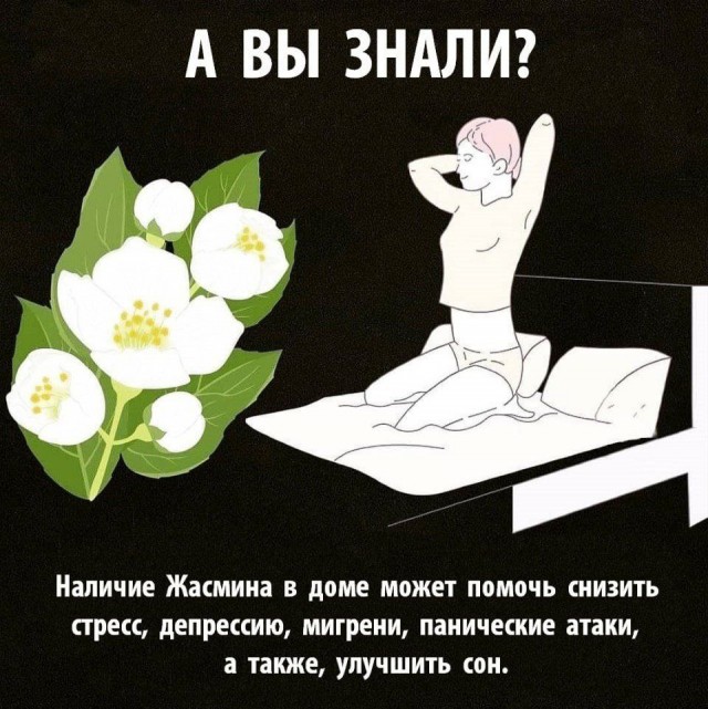 Пандемия съехавших крыш - разновидности болезни. Россия и мир. Часть 43.