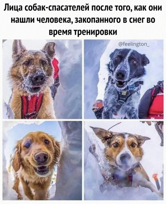 Картинки и мемы, всем хороших выходных