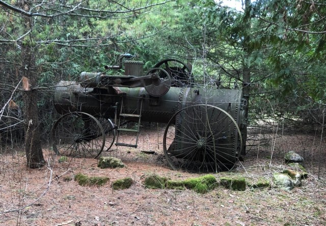 Необычные предметы, которые люди обнаружили, прогуливаясь по лесу