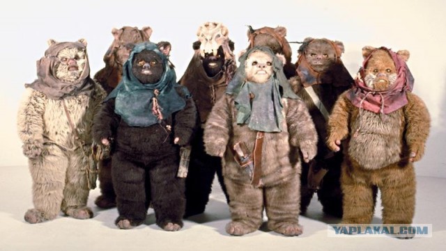 Здравствуй, мой плюшевый мишка!