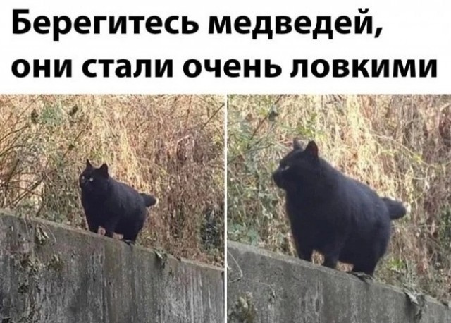 Так себе картинки 15.04.23