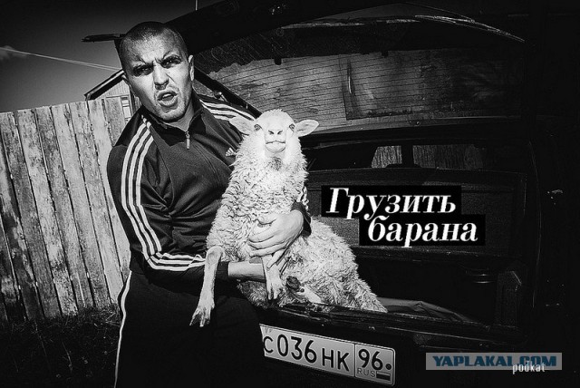 Четко сказал!