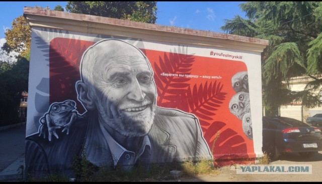 Николай Николаевич в Хосте