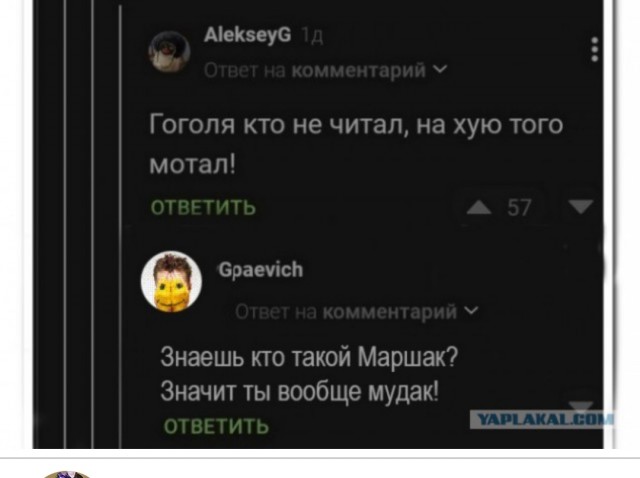 Забавные комментарии из социальных сетей (11.12.23)