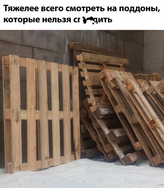 Весёлый полтишок 04.03.24