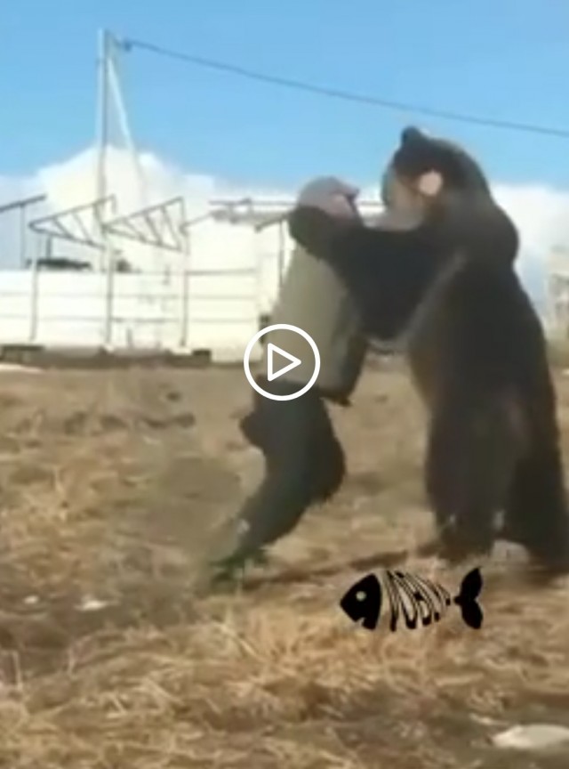 Обычный день в России