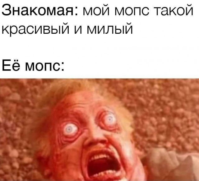 Всего понемногу. От 12.04.2024
