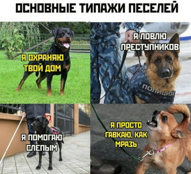 Веселые картинки к пятнице (07.06)
