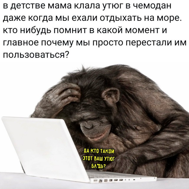 Весёлый полтишок 17.06.24