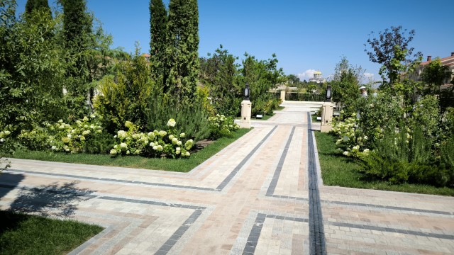 Крым. Август 2024.