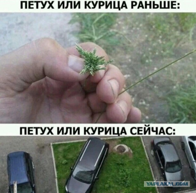 Родина должна знать своих пи@орасов