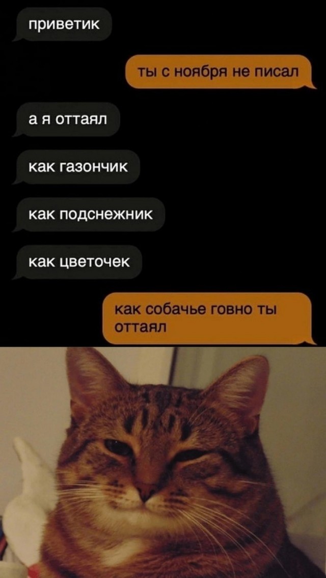 Немного картинок натыренных в ТГ