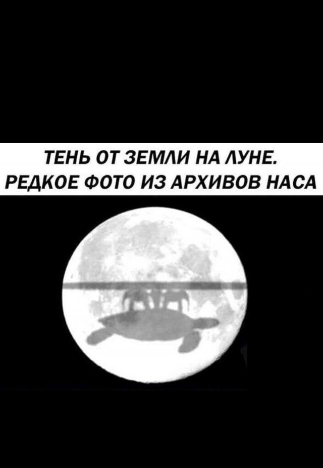 Смелое фото от Лозы вам в ленту