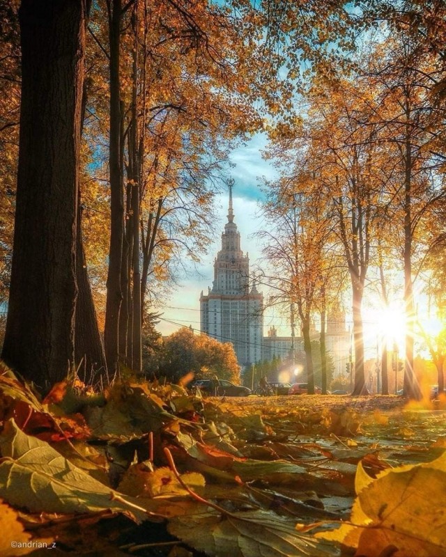 Прикольные и просто красивые картинки 15.10.2024