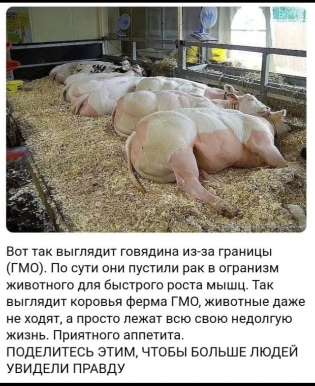 Один я не понимаю, откуда берется молоко, творог, сыр и масло?