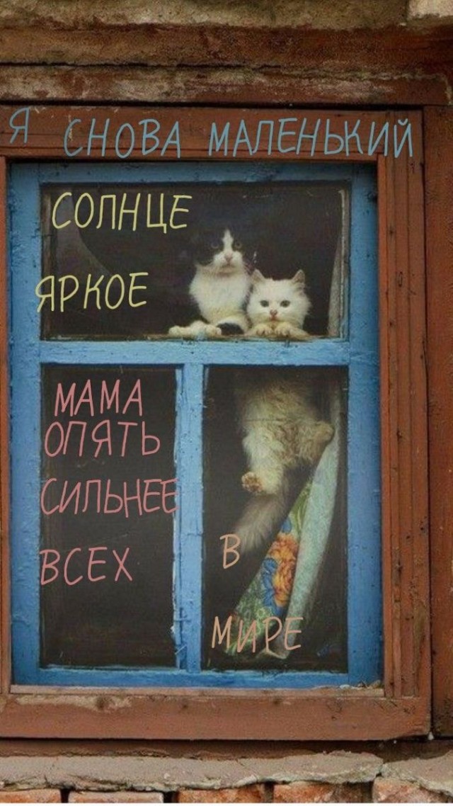 Прикольные и просто красивые картинки 31.12.2024
