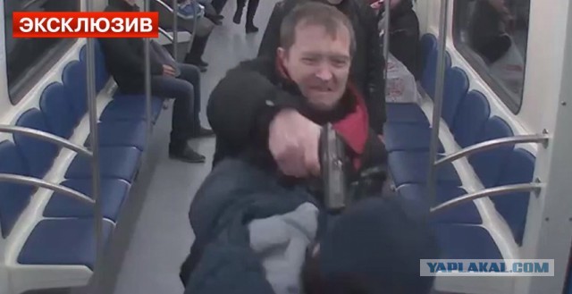 Обезьяны и степашки