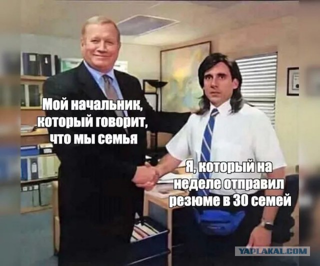 Чёт орнул