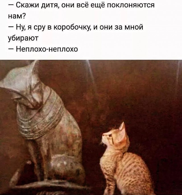 Завалялось тут случайно немного забавных картинок