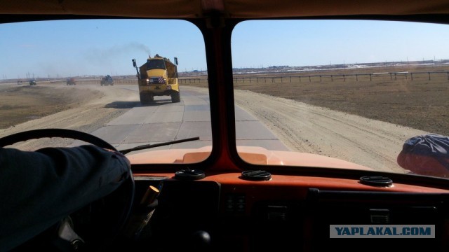 Красота! Лето на Ямале. Фото