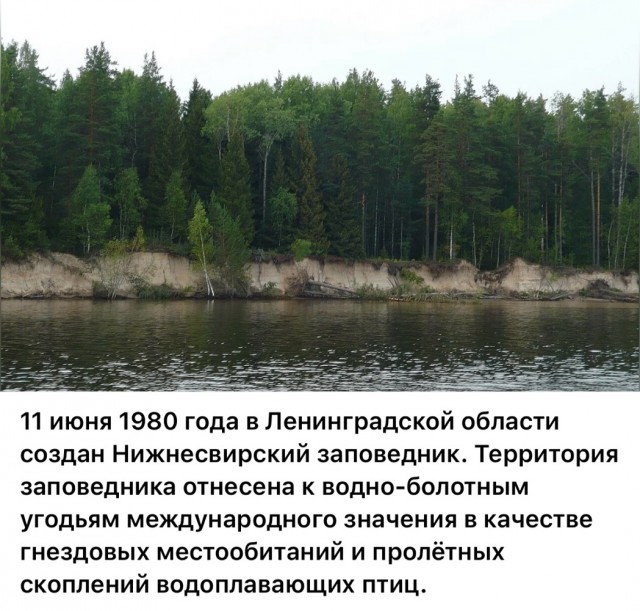 Редкие кадры и архивные снимки. 11.06.25