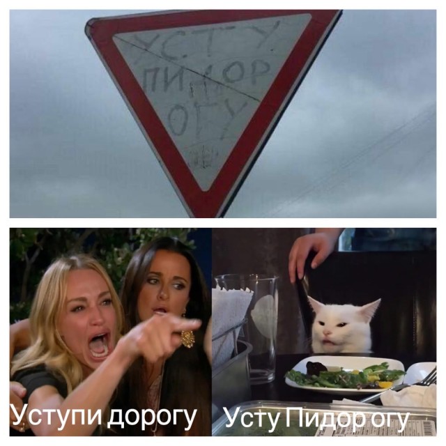Знаменитый кот