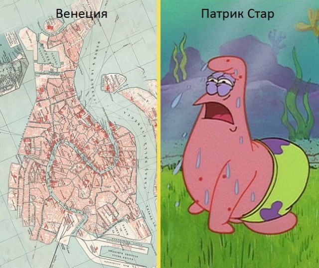 Веселое настроение в картинках (31.07.2025)