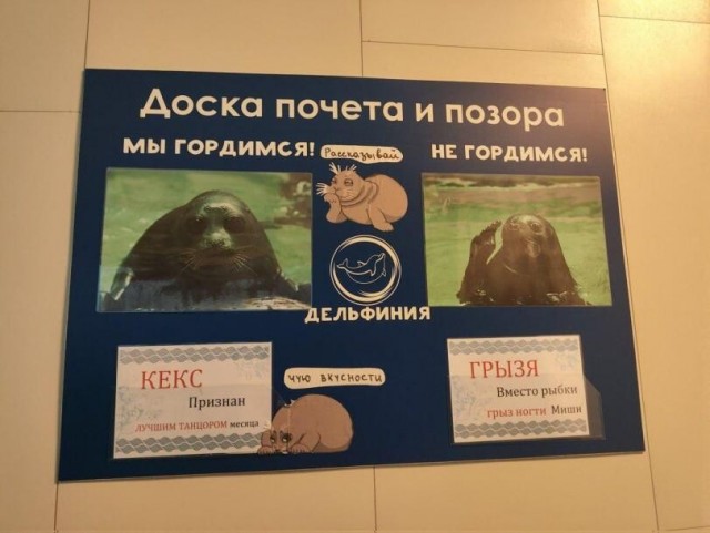 Доска почёта