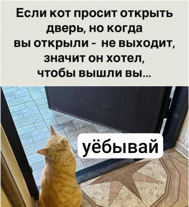 Любовь и забота творят чудеса