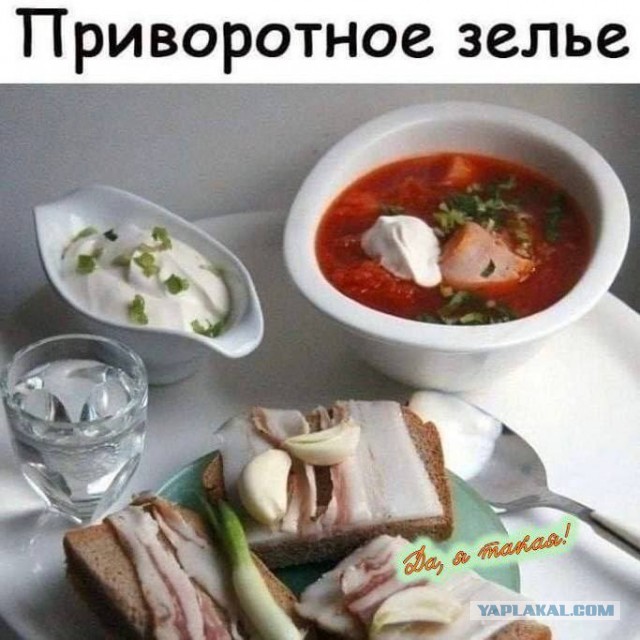 Веселые картинки в понедельник (06.10)