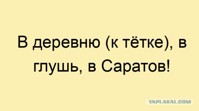 В ГД хотят законодательно ограничить количество собак и кошек в квартире