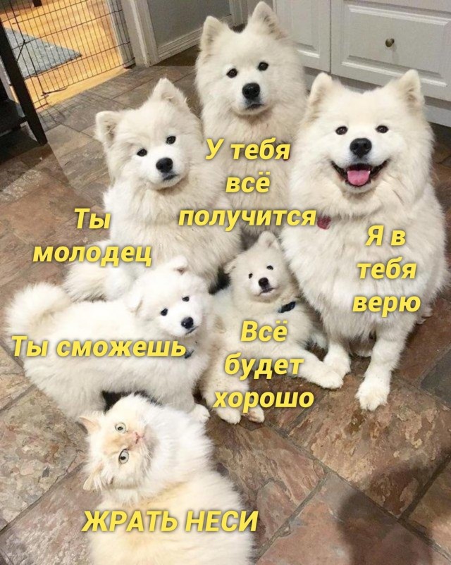 Воскресные картинки