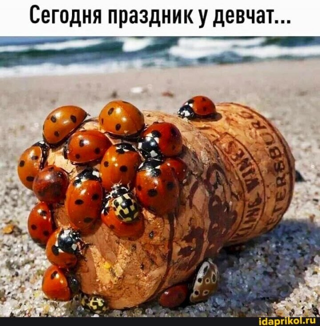 Прикольные и просто красивые картинки 14.11.2025