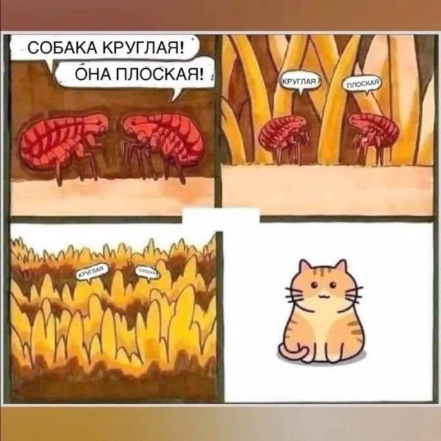 Слава Богу - я атеист 30..