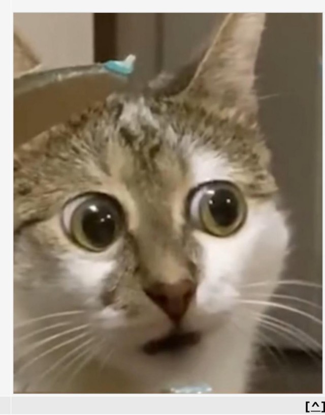 Сборник чтобы подеградировать - 47