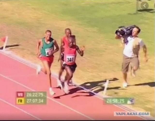 Быстрая и прыткая