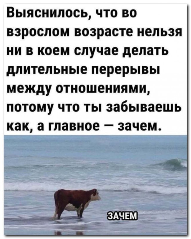 Вот именно⁠