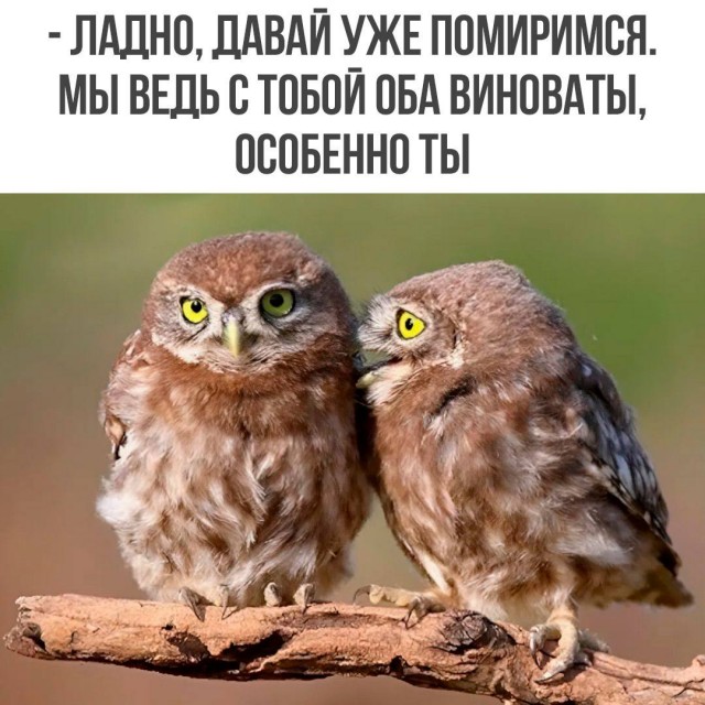 Веселые картинки в понедельник (30.03)