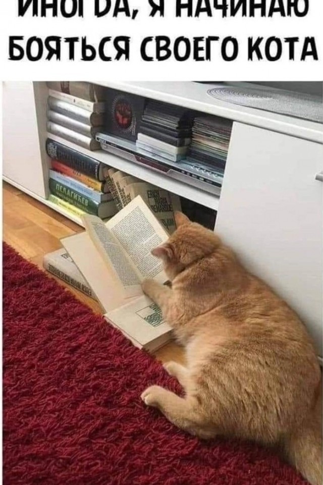 Картинки для улыбки 2
