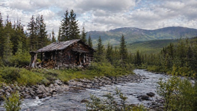 Таежная история