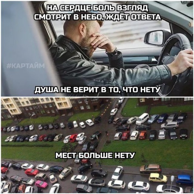 Картинки для деградации 291 (разной степени свежести)