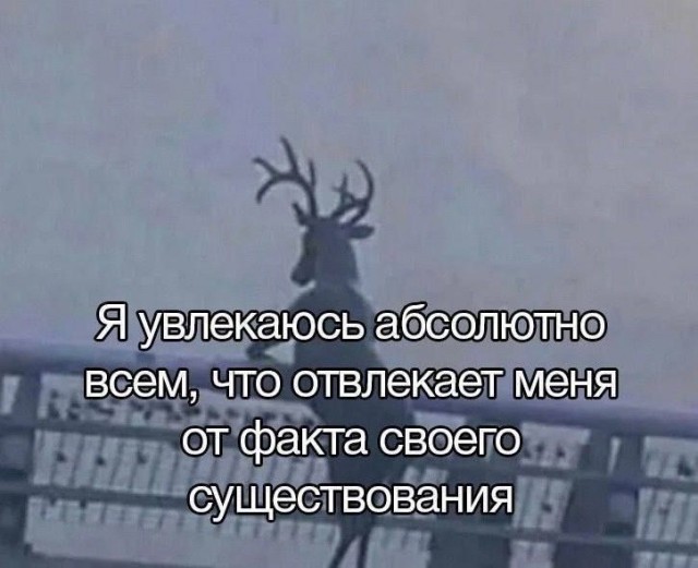 Психомемы-17