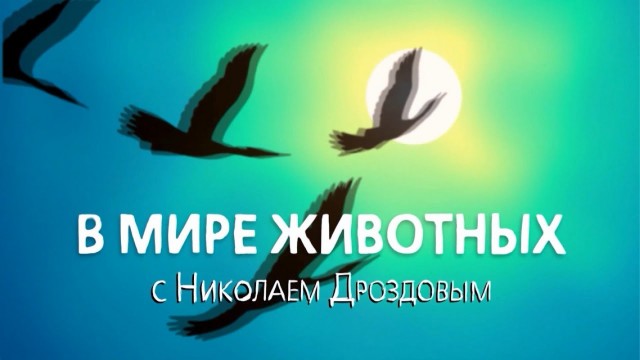 Жалко машинки