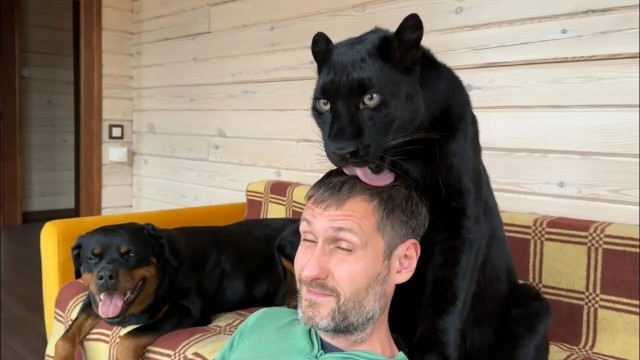 Всё, я в домике!